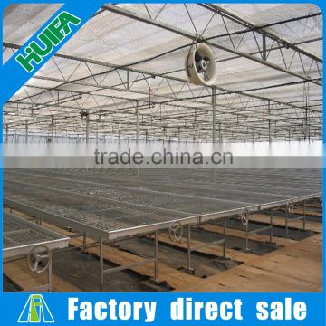 Hot galvanized steel movable seed benches for Agricultural greenhouse