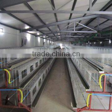 chicken layer cage/chicken breeding cage/chicken cage