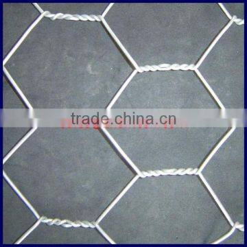 Triple twist chicken wire mesh