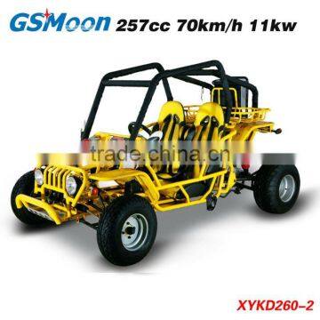 250cc EEC/EPA Racing Kart photo-2