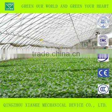 Low Cost Single Span Film Greenhouse for Sale photo-2