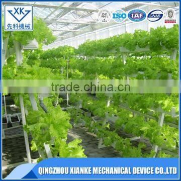 hydroponic greenhouse growing system for vegetable