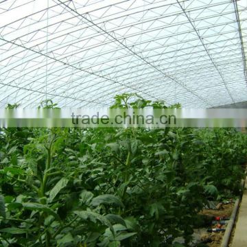 Agricultural Greenhouses