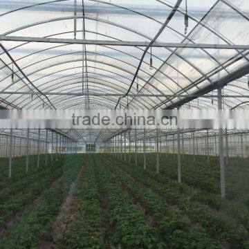 Agicultural Greenhouse photo-4