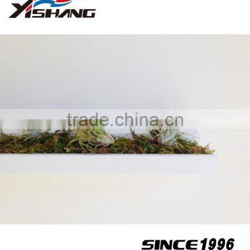 Wholesale Plant Pot Metal Living Room Wall Decor photo-5