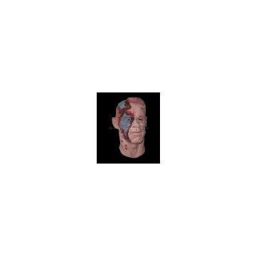 Realistic horror mask
