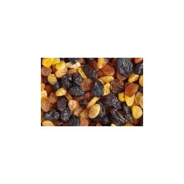 best quality Raisin (Golden, Green, Sultana, Sun dried)