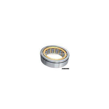 single row cylindrical roller bearing,large size