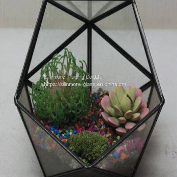 Air plant glass terrarium