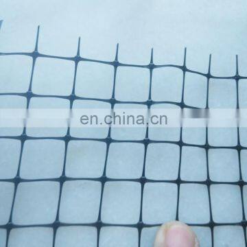 Plastic extruded pp anti bird netting for agriculture orchard