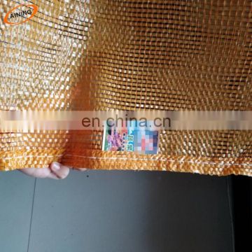 Netherlands Spain 25kg onion pp mesh bag with label 55*87