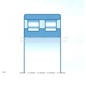 170x230x60 bearing