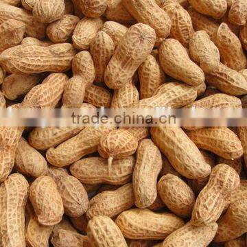 peanut kernel from China