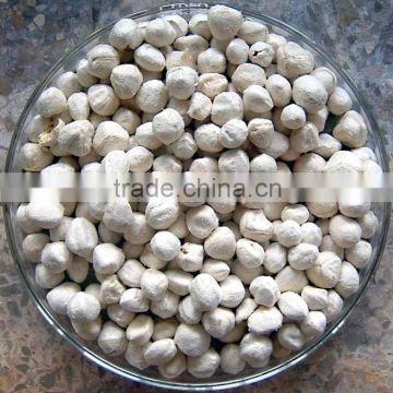 Organic Certified Moringa seeds Kernel for Export