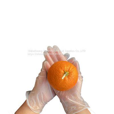 Powder Free Pvc Plastic Vinyl Gloves China photo-3