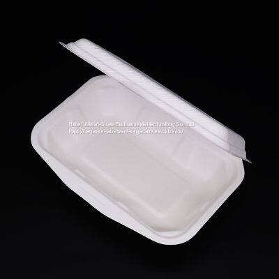 New Hot Disposable Biodegradable 450ML Bagasse Food Box Take Away Sugarcane Container photo-2