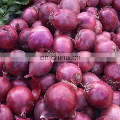 BRC A Approved High Quality Non-peeled Fresh Vegetable Red Onion from Sinocharm