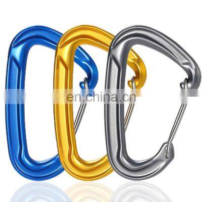 JRSGS Wire Gate Clips for Camping, Hammock, Hiking, Small Carabiners for Dog Leash and Harness 22kN S7102S