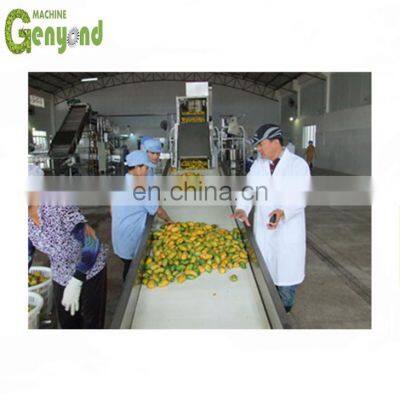 Small mango processing machine