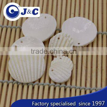 Sea Shell for Crafts Decoration Furniture Accessory photo-3