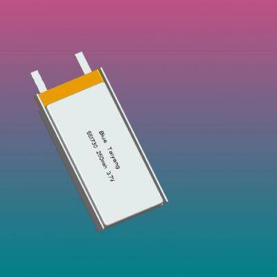 Polymer Batteries and Consumer Batteries