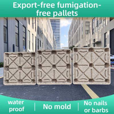 Eco-friendly, Recyclable Molded Wood Pallets — Compliant With European and American Standards — Hassle-Free Export