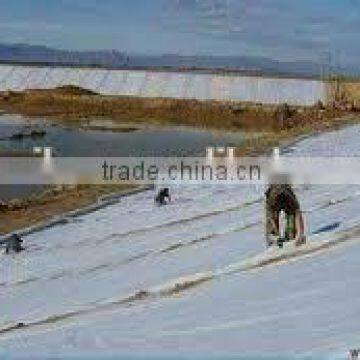 Polyester Filter Mat/geotextile for Lake and Coast photo-2