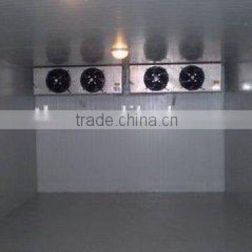 High Quality PU Sandwich Panel Cold Room/ Fruit and Vegetable Cold Storage photo-2
