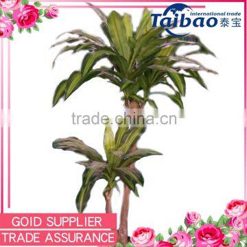 Everlasting Brazil sago cycas large fake tree decoration for shop and hotel