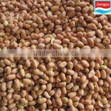 organic raw peanut kernels