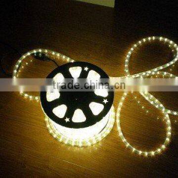 High quality 2wires led rope light