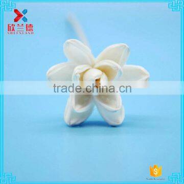 2015 new design sola flower reed diffuser/reed diffuser flower/sola wood flower