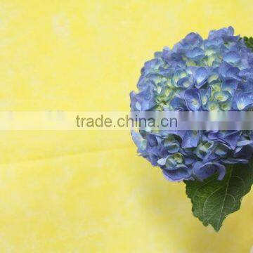 Fragrant Aroma Classical Light Blue Short Branch Hydrangea photo-4
