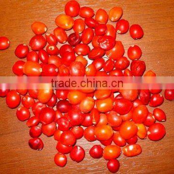 Huayruru Pure Red Natural Loose Seed Beads