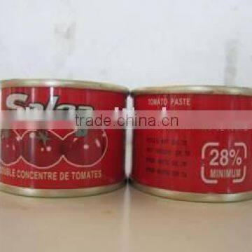 canned tomato paste