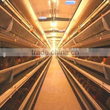 automatic poultry farm battery cages laying hen