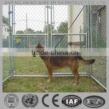 Hot sale high quality cheap chain link dog fence(10 year factory with ISO & CE)