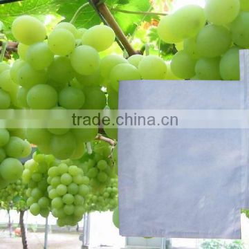 Grape Grow Brown Paper Bag