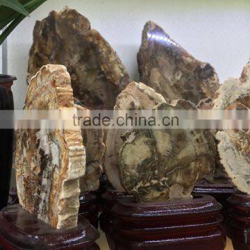 Natural Petrified Wood Crystal Wooden Fossil Slices Wholesale