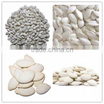 China Snow White Pumpkin Seeds Kernels With Best Price for Sale photo-6