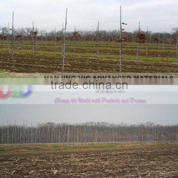 Fiberglass Vine Plant Stakes