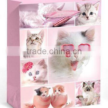 Custom Made Wholesale Shop Paper Bags photo-3