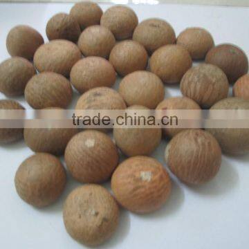 Dried Betel Nut High Quality From Vietnam