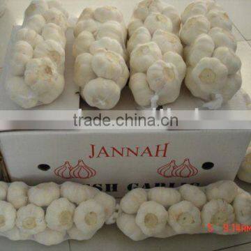 CHINESE GARLIC 1KG MESH BAG