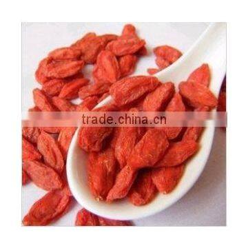 100% Natural Goji Berry Extract Free Sample Goji Berries for Sale photo-3