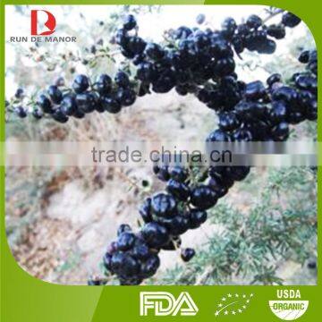 2015 new harvest high quality organic black goji berries/Chinese wolfberries from Ningxia