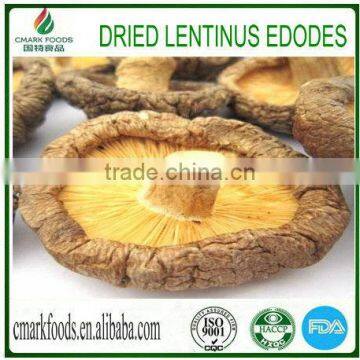 Natural lentinus edodes mushroom dried