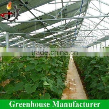 Mulit_span Solar Photovoltaic Cell Greenhouse photo-2
