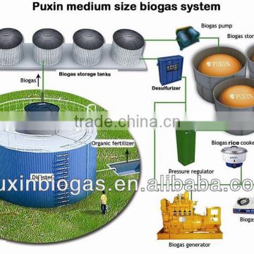 Professional biogas plant/biogas equipment/biogas system