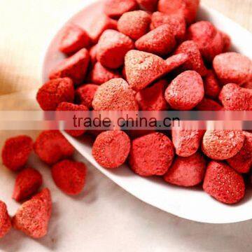 Vacuum Freeze Dryer for Fruit and Vegetable Manufacturer JK-FD-1N photo-4